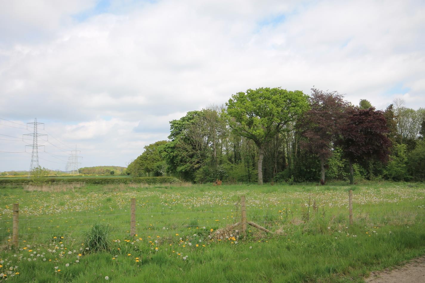 Houses for sale in sessay thirsk